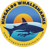 ningaloowhalesharks.com