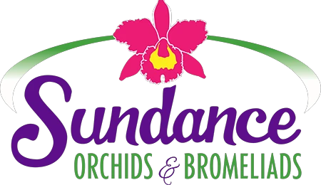 sundanceorchids.com