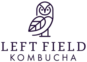 leftfieldkombucha.co.uk