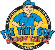 thetintguy.com