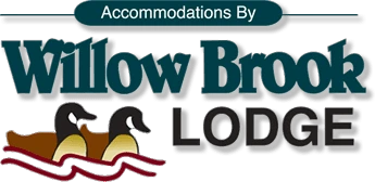 willowbrooklodge.com