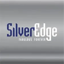 thesilveredge.com