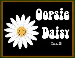 oopsydaisy.com