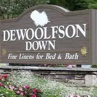 dewoolfsonlinens.com