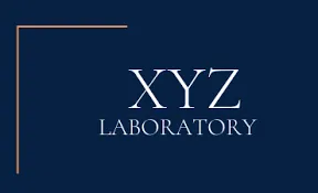 xyzlaboratory.online