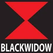 blackwidowexhausts.co.uk