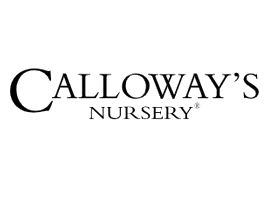 calloways.com