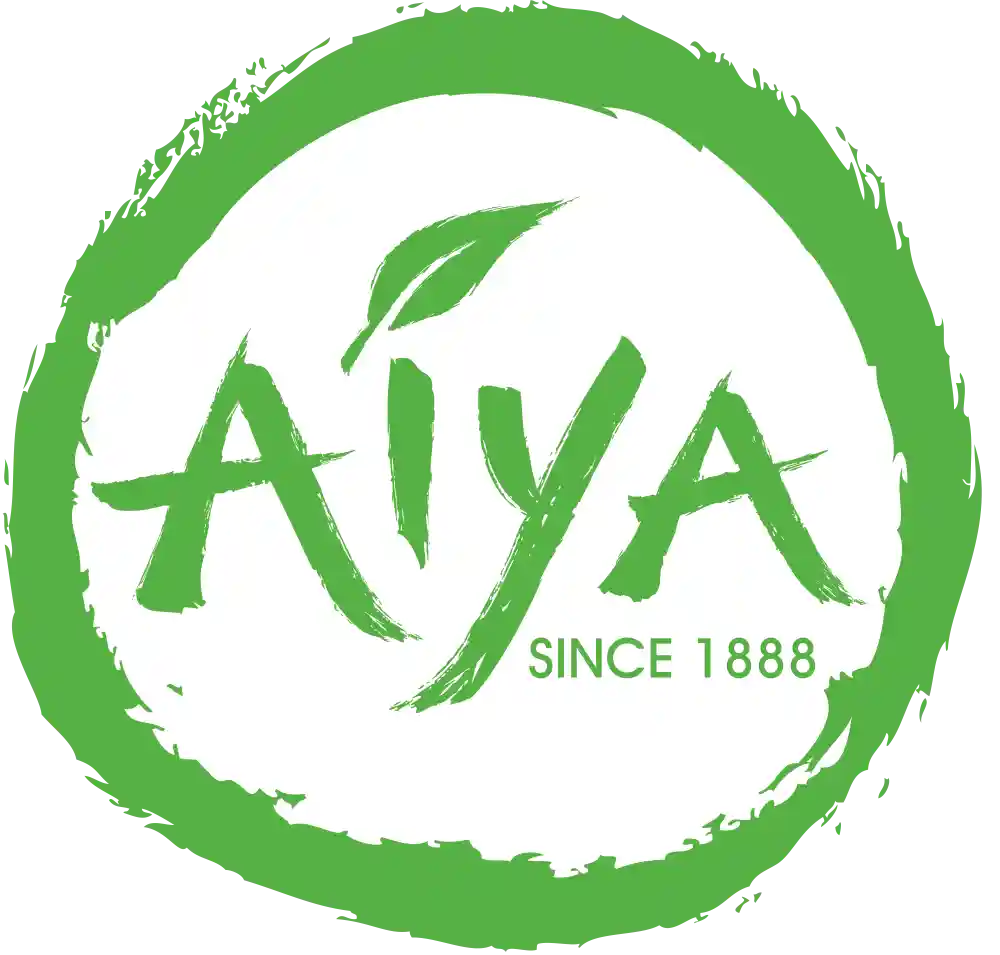 aiya-america.com